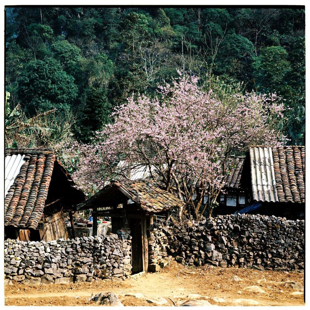 Huyen Tram Guesthouse ส่งวัน ภายนอก รูปภาพ